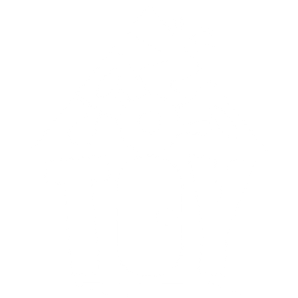 Caza Toy